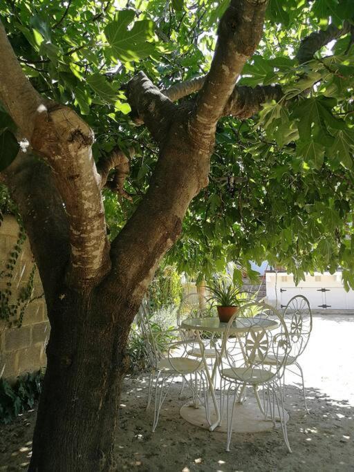 Casa La Higuera Villa Chulilla Dış mekan fotoğraf