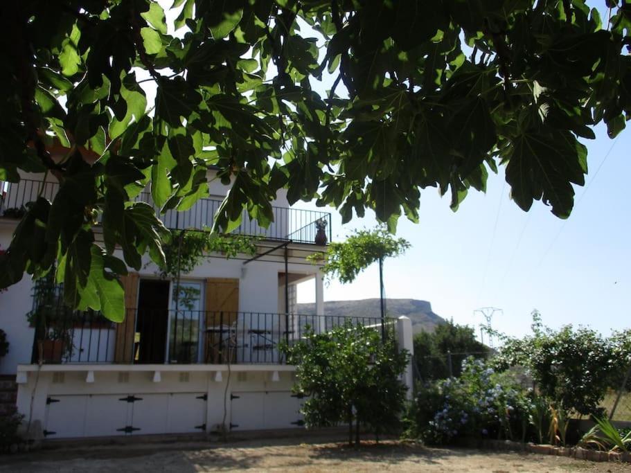 Casa La Higuera Villa Chulilla Dış mekan fotoğraf