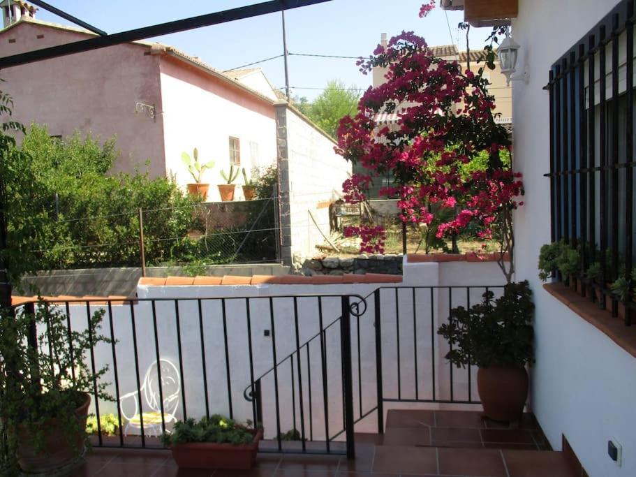 Casa La Higuera Villa Chulilla Dış mekan fotoğraf