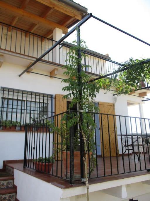 Casa La Higuera Villa Chulilla Dış mekan fotoğraf