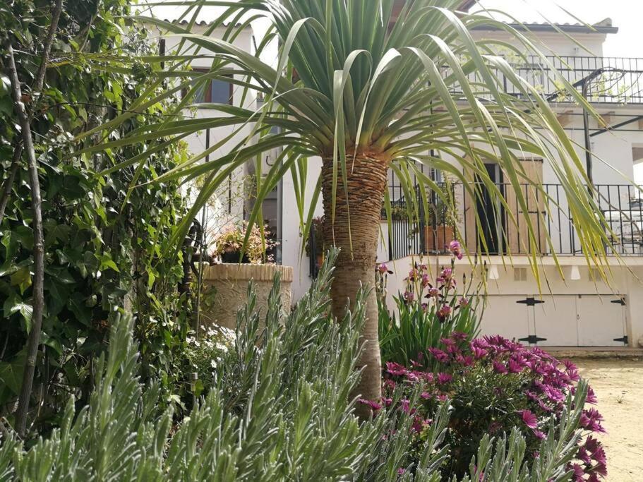 Casa La Higuera Villa Chulilla Dış mekan fotoğraf