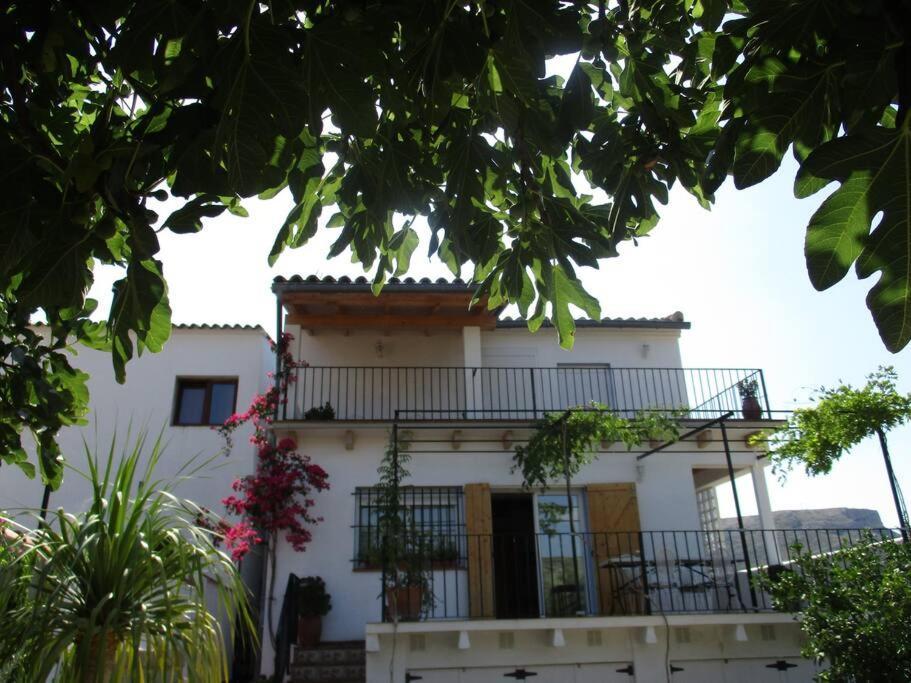 Casa La Higuera Villa Chulilla Dış mekan fotoğraf