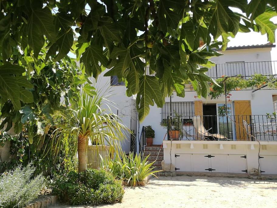 Casa La Higuera Villa Chulilla Dış mekan fotoğraf