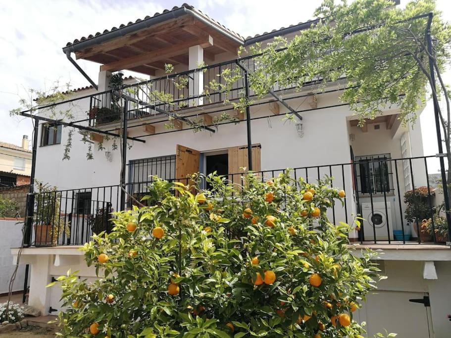 Casa La Higuera Villa Chulilla Dış mekan fotoğraf